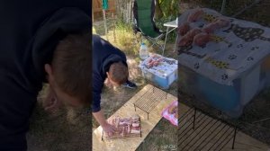 Копчение мяса и сала. Подробно о количестве щепы и процессе