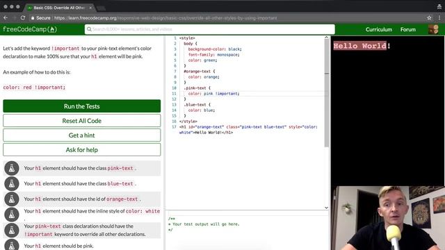 Basic CSS - Override All Other Styles by using Important - freeCodeCamp смотреть онлайн
