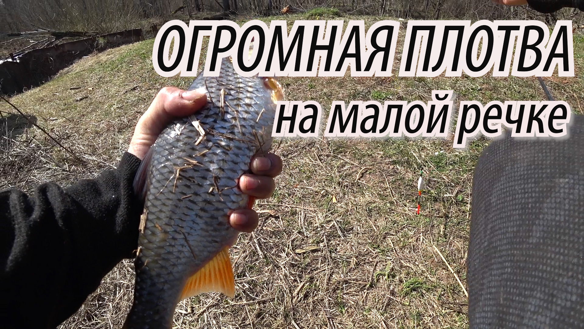 ДА СКОЛЬКО ЖЕ ЗДЕСЬ РЫБЫ!! ЗДОРОВАЯ ПЛОТВА НА ПОПЛАВОК! Рыбалка на плотву на малой речке на МАКАРОНЫ смотреть онлайн