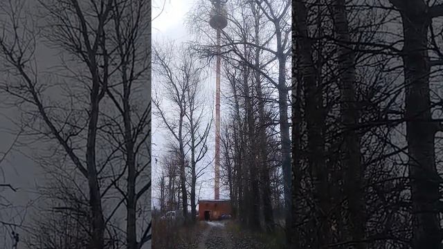 Мценск телевышка приехали на демонтаж местной достопоимечательности смотреть онлайн