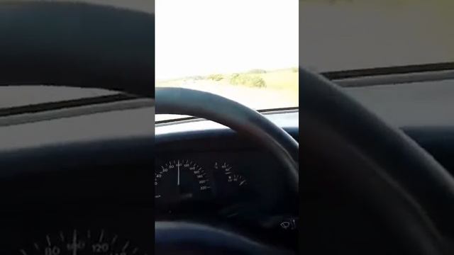 Чувак поёт король лев смотреть онлайн