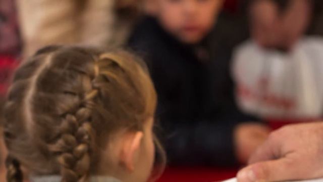 ROYAL CANIN VINNITSA смотреть онлайн