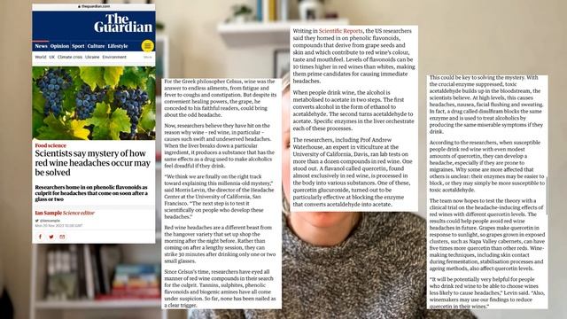 Образовательный взгляд