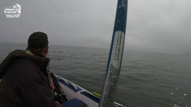 БОЛЬШОЙ УЛОВ VLOG: Сарган!!! Поплавок. На креветку. Балтийское море. Май 2019. смотреть онлайн