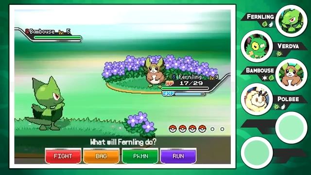 Pokémon Ethereal Gates - Episode 2 | Avocet Forest! смотреть онлайн