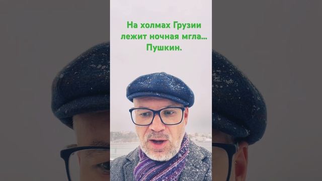 На холмах Грузии лежит ночная мгла… #поэзия #стихи #жизнькакмиг #carpediem #любовь #жизнь #пушкин смотреть онлайн