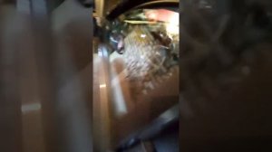 Не горит левая сторона габаритов Hyundai i30 2010 год