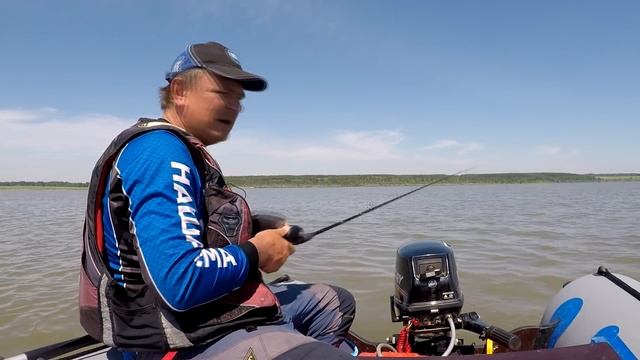 Да сколько же здесь этой рыбы??? От куда они взялись? смотреть онлайн