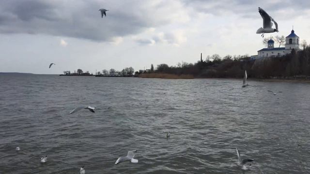 Белгород-Днестровский 24 февраля 2022 Украина / Akkerman Ukraine смотреть онлайн