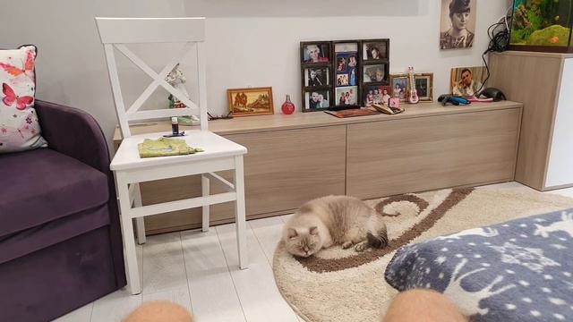 ПОЛНОСТЬЮ СОГЛАСЕН С ИРОЙ МАМА НЕДОВОЛЬНА смотреть онлайн