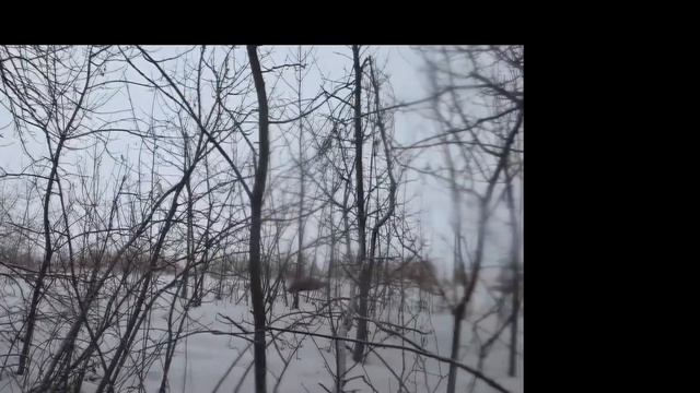 (+18 )опытные зайцы конца сезона (бакс продакшн и гоп компания) смотреть онлайн