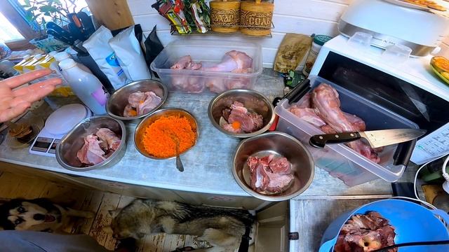 После этого собаки будут есть овощи как мясо. Рабочий способ приучить собаку есть овощи смотреть онлайн