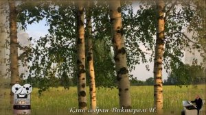 «Берёзы»
группа "Любэ"