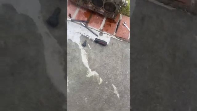 Volkswagen GTI 6 Blown Cylinder Head смотреть онлайн