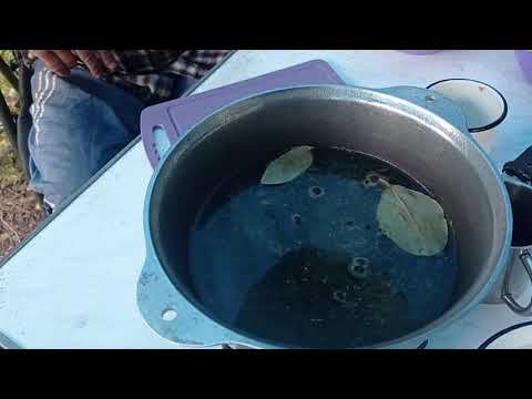 Казыр - открываем сезон. Часть вторая. Мокрая.