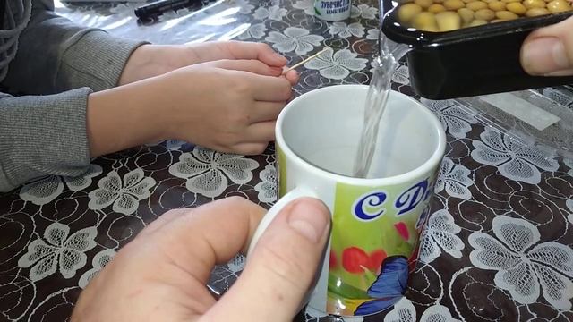 микрозелень из магнита ч2,день 2, #микрозелень #микрозеленьдома #микрозеленьвырашивание смотреть онлайн