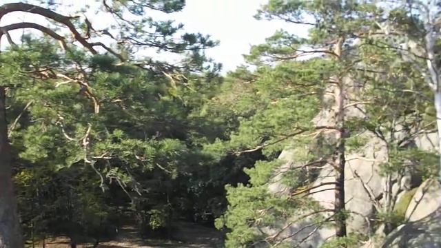 Сходница, Карпаты 23) смотреть онлайн