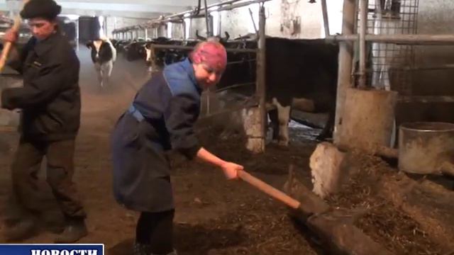 ООО "Агросистема", фермы смотреть онлайн