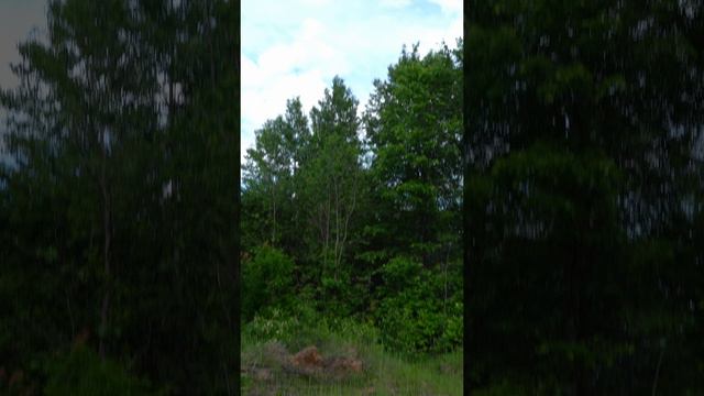 Операция АНТИШМЕЛЬ смотреть онлайн