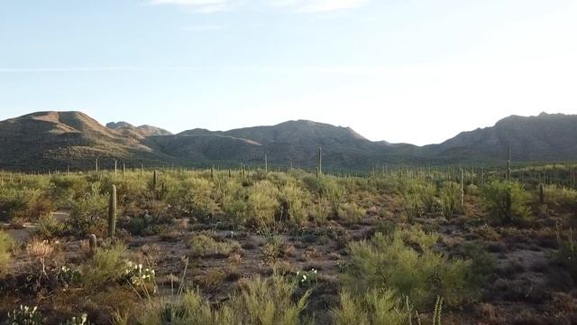 Адама из Телоса Ограничивающие убеждения смотреть онлайн