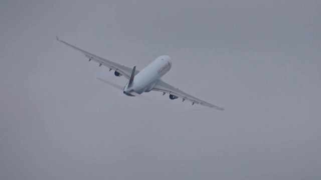 BIG Aircraft Take Offs At Brussels Airport (BRU) 3x A350, 10x A330, 3x B777, 4x B787, 2x B767 смотреть онлайн