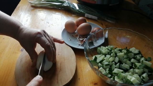 Зоопарк и Дикие Животные