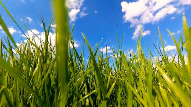 ADEMI VIDEO ZHEZKAZGAN 2018 смотреть онлайн