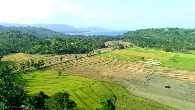 Philippines 4K Relaxation Film | Philippines Drone Scenery With Ambient Music #Philippines4K