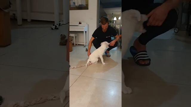 Луна играет с Андреем смотреть онлайн