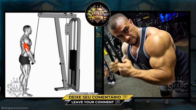 ➜ O MELHOR TREINO DE BÍCEPS E TRÍCEPS COM FE FRANCO, BRANDÃO E HORSE смотреть онлайн