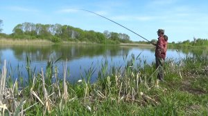 Рыбалка 16 мая - как там вырос ли карась после запуска окуня и супер совет