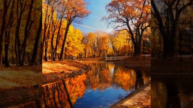 D&D смотреть онлайн