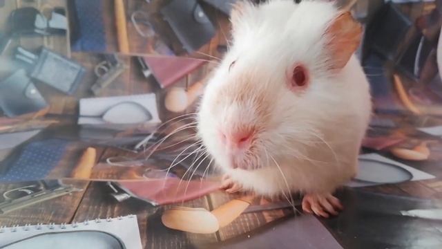 Анекдот про прапорщика №47 смотреть онлайн