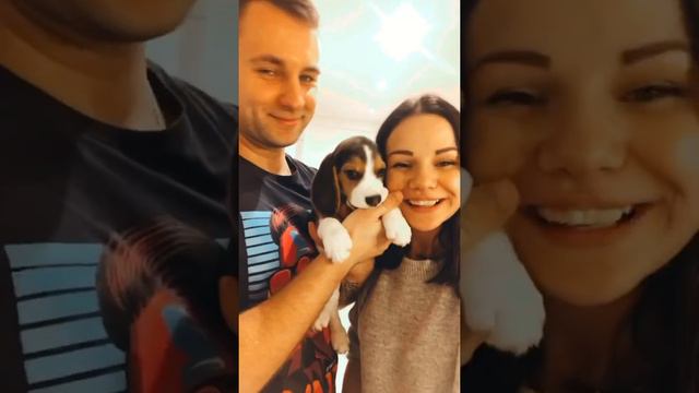 День рождение бигля🎂 смотреть онлайн