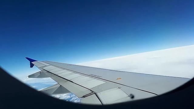 SAS A319 Copenhagen CPH to Prague PRG (Trip Report) смотреть онлайн