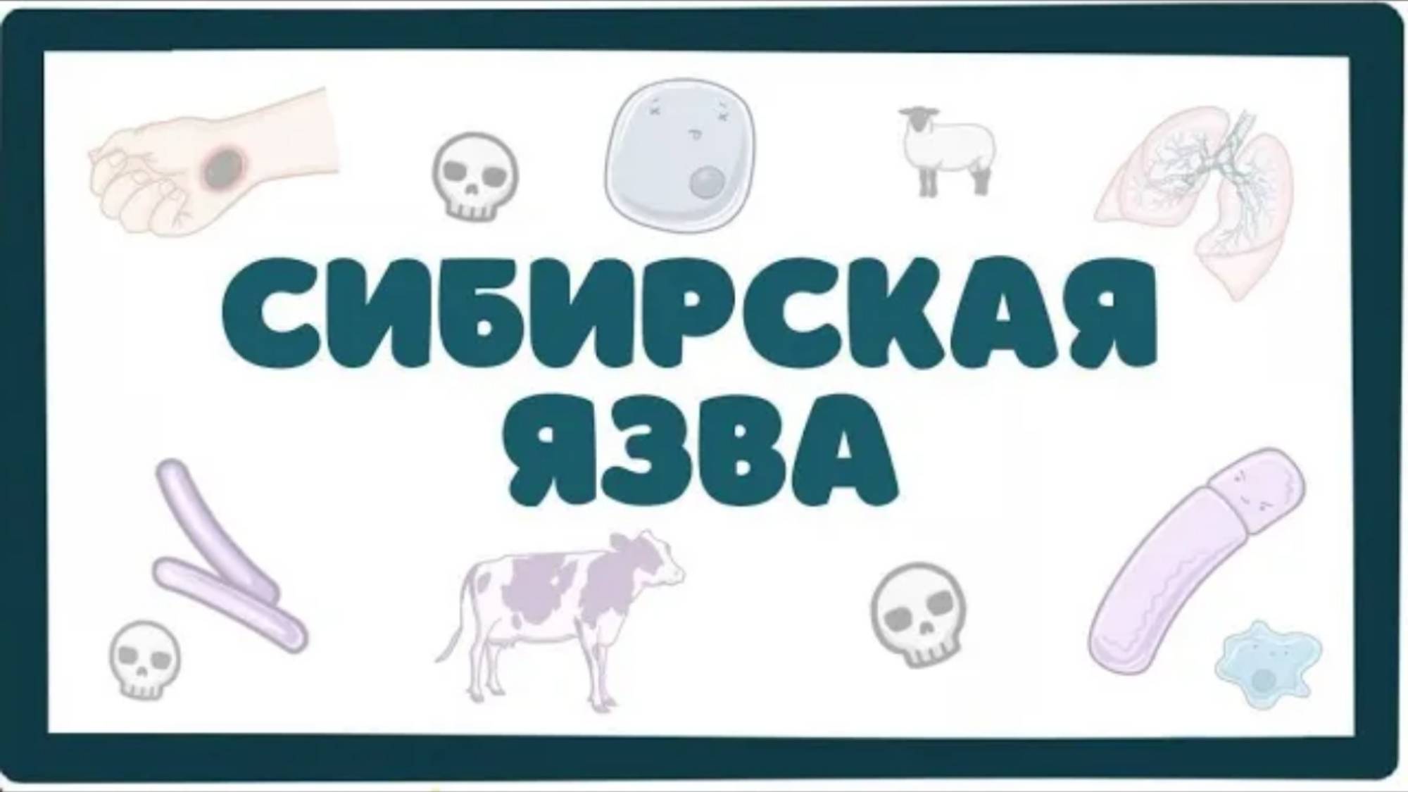 Сибирская Язва (bacillus anthracis) - морфология, патогенез, диагностика, лечение (лекция) смотреть онлайн