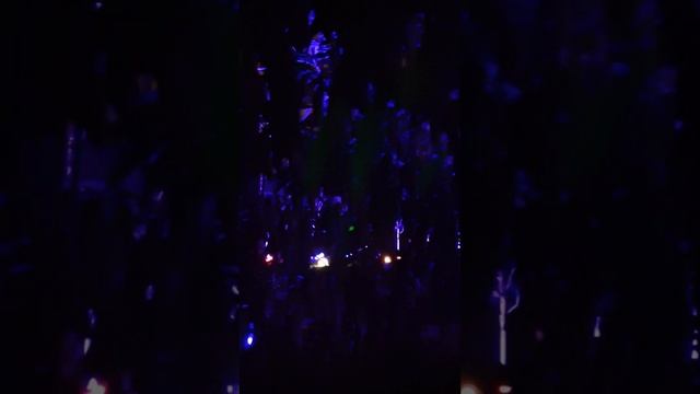 Волшебство парижского парка и рождественские чудеса... смотреть онлайн