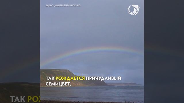 Радуга над Командорами смотреть онлайн