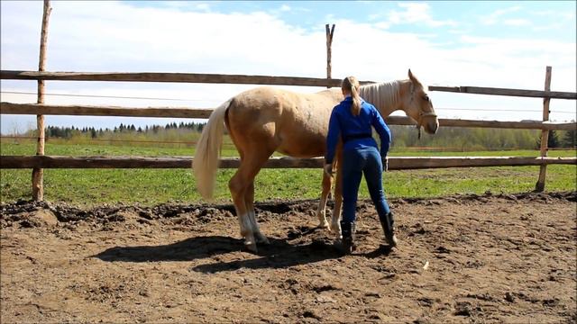 Контрольная работа