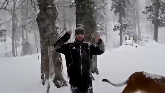 На Кавказе есть все, даже личные львы смотреть онлайн