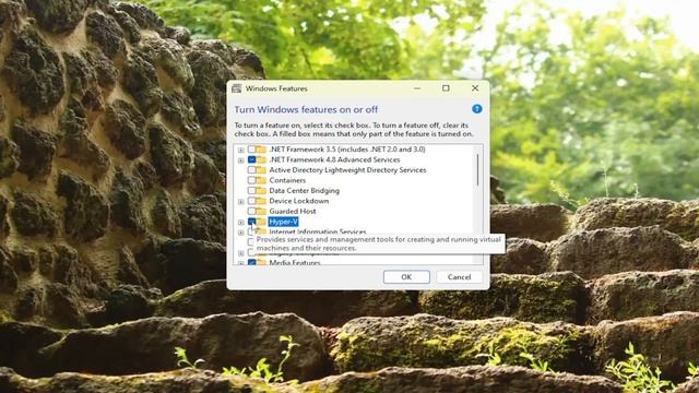 Sandbox Error 0x80070057, the Parameter Is Incorrect [Solution] смотреть онлайн