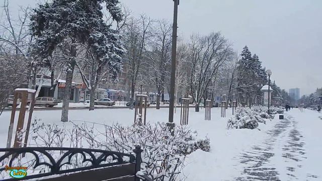 VLOG 228 Геленджик LIFE Привет Краснодар смотреть онлайн