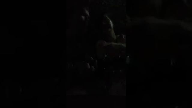 Полынь-трава смотреть онлайн