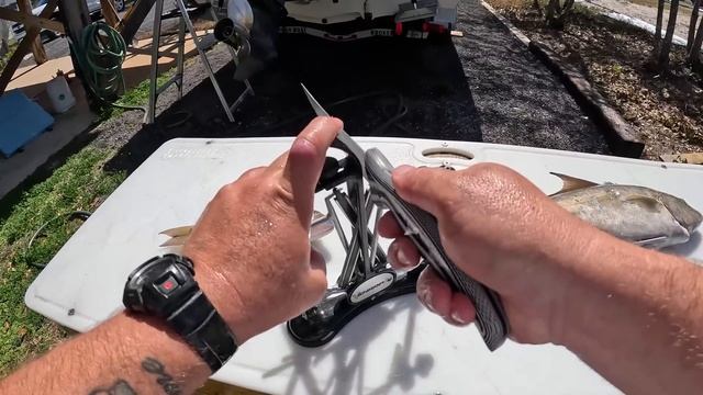 Fishing this *NEW* SQUID JIG! in the GULF for LUNCH! [Catch, Clean, Cook] смотреть онлайн
