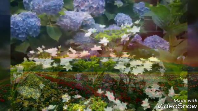 Amazing Flower