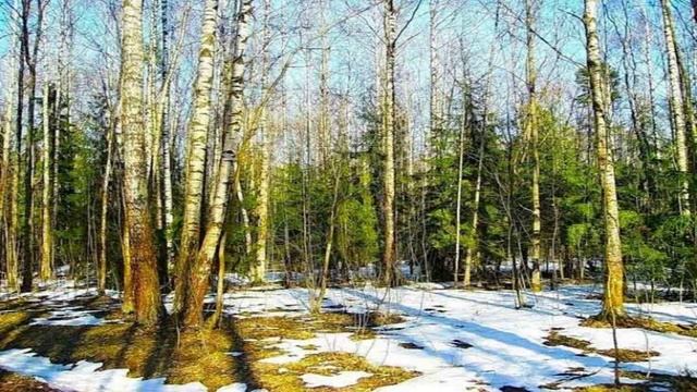 СЛИВ СЮЖЕТА  С   31-ОЙ  ПО  40-УЮ  СЕРИЮ  СЕРИАЛА  