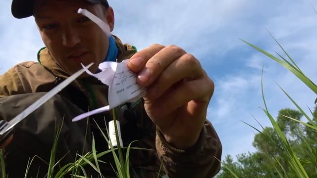 ПРУД УШЁЛ, РУЧЕЙ С РЫБОЙ ОСТАЛСЯ! НАПАДЕНИЕ НА РЫБАЛКЕ. Рыбалка на поплавок смотреть онлайн