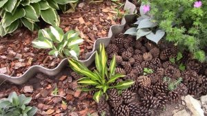 Мульчирование цветника корой хвойных деревьев.