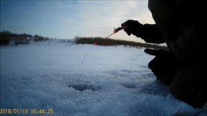 Ловля Ельца зимой на безмотылку!