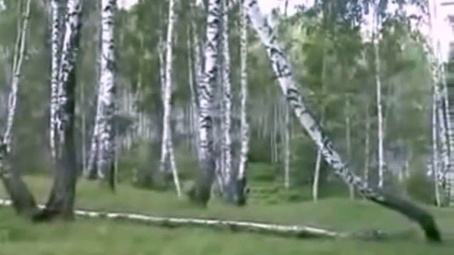 Красно солнышко, исп. Рита Голова. смотреть онлайн